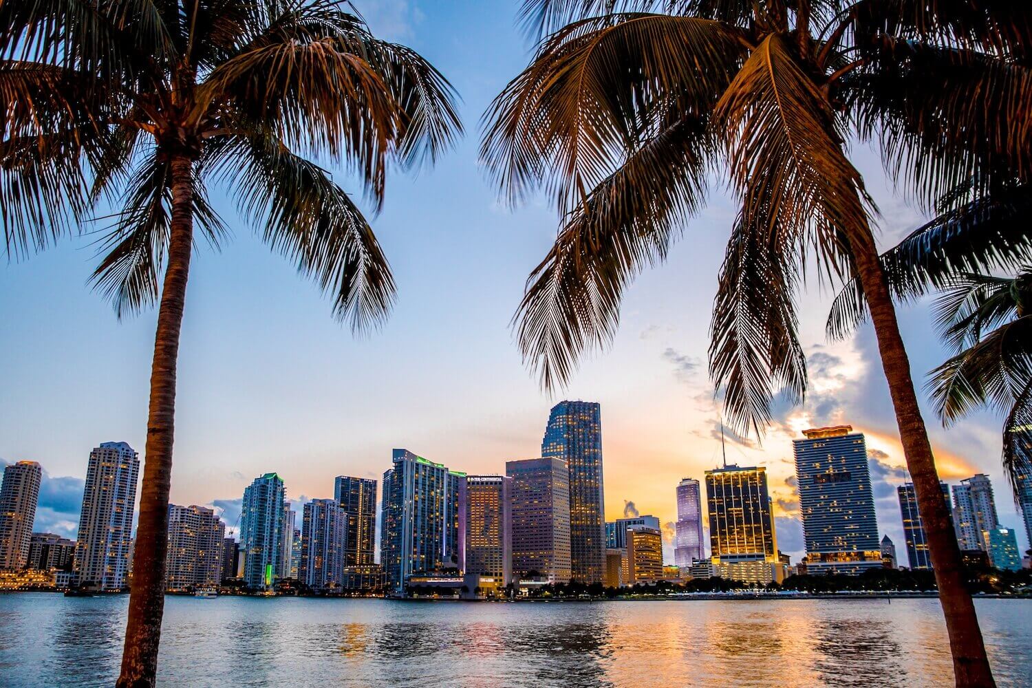 How the rich and famous fell for Miami | Command Education